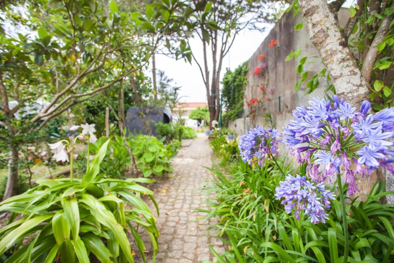Beautiful Country House&Romantic Garden Синтра Экстерьер фото